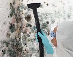 Best Biohazard Mold Removal  in Onalaska, WI